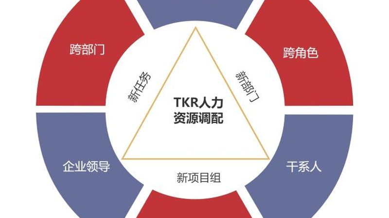 薪酬外包加盟：揭秘行业趋势与品牌选择**